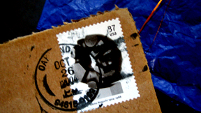 VICTORIA'S.LETTERS.2004