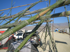 BURNING.MAN.2006