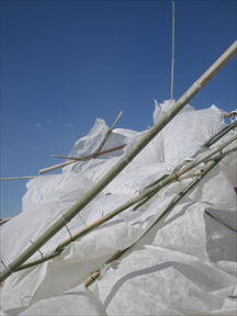 BURNING.MAN.2006