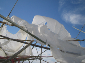 BURNING.MAN.2006